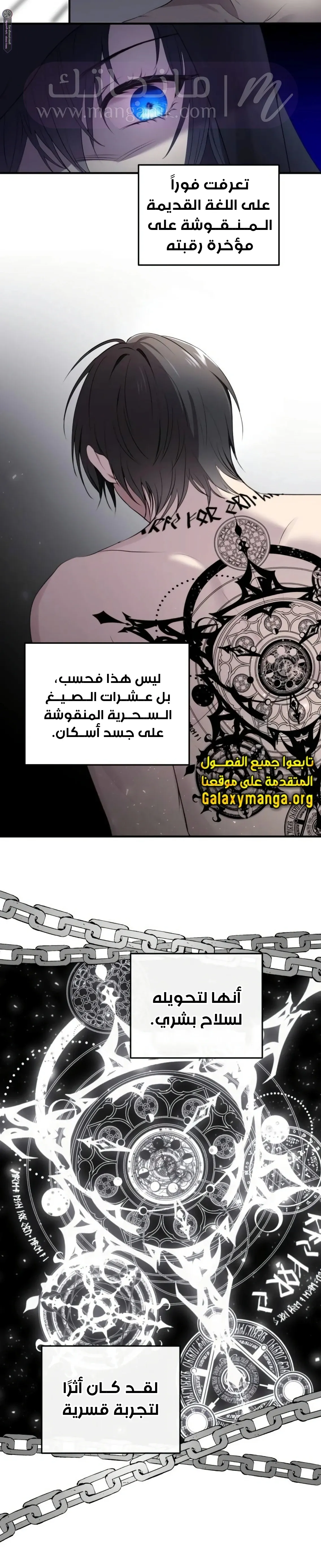 الصفحة 14