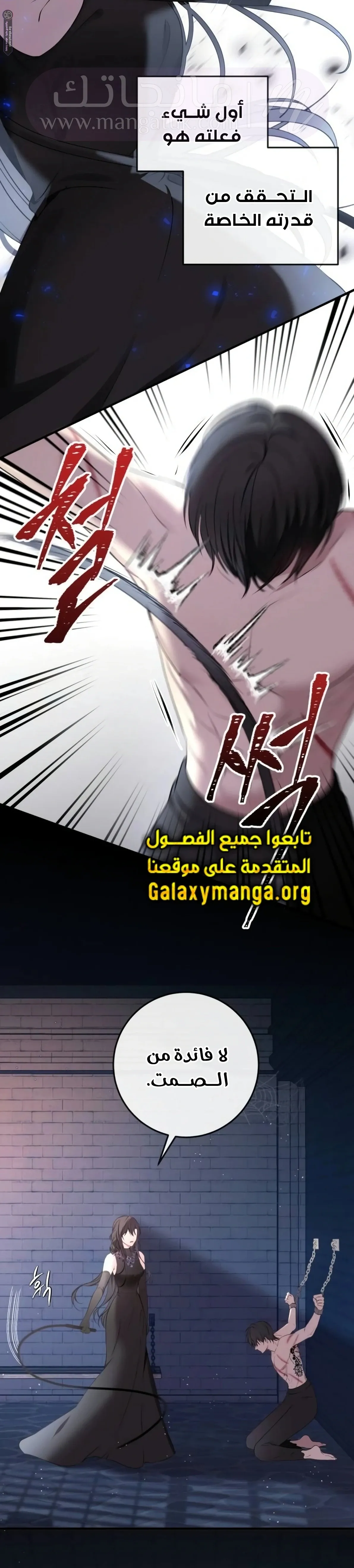الصفحة 17