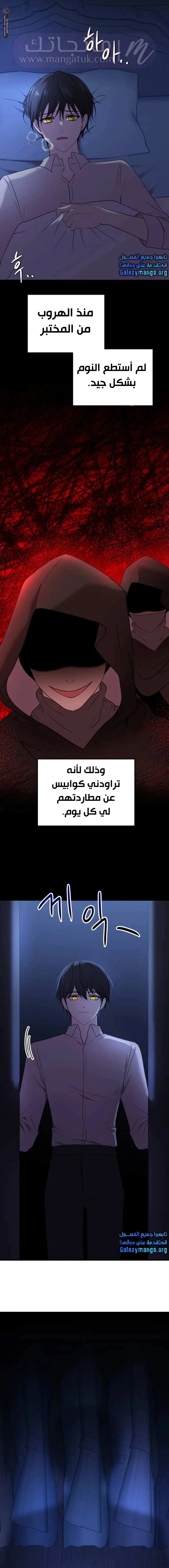 الصفحة 19