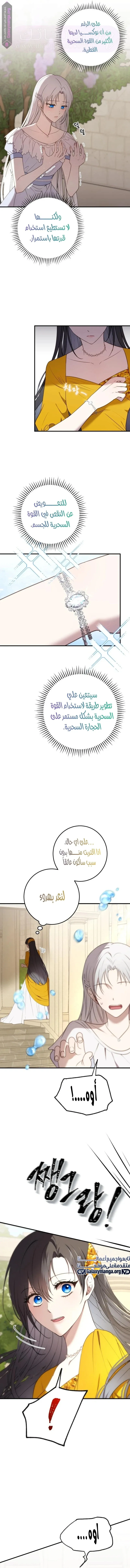 الصفحة 8