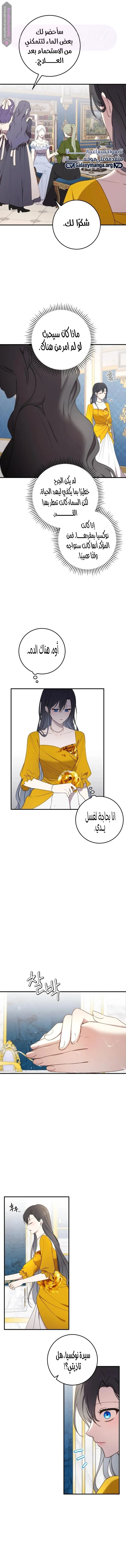 الصفحة 13