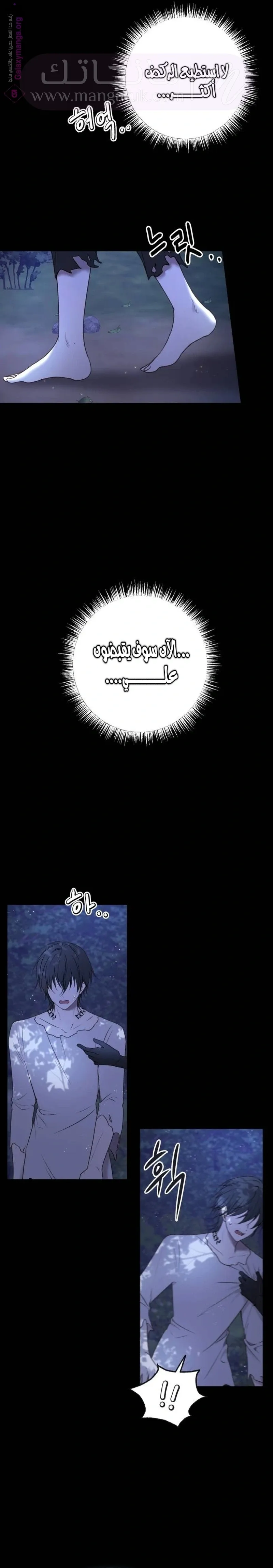 الصفحة 4