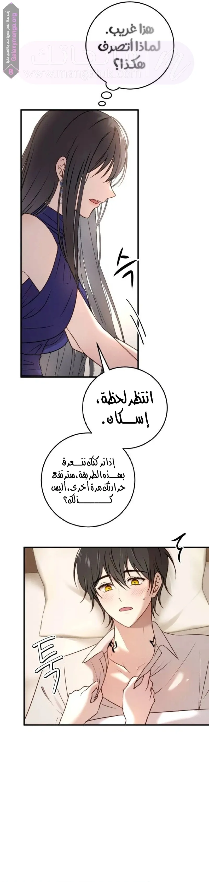 الصفحة 13