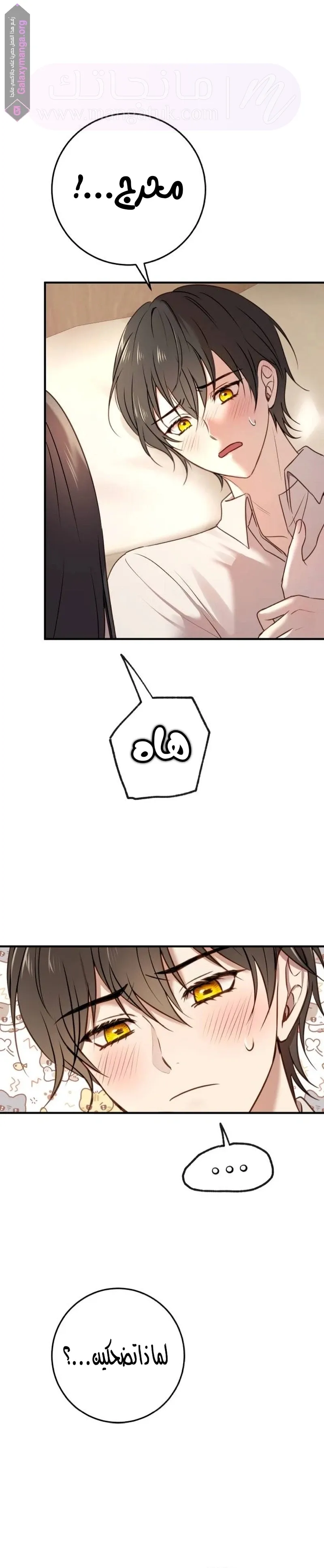 الصفحة 16