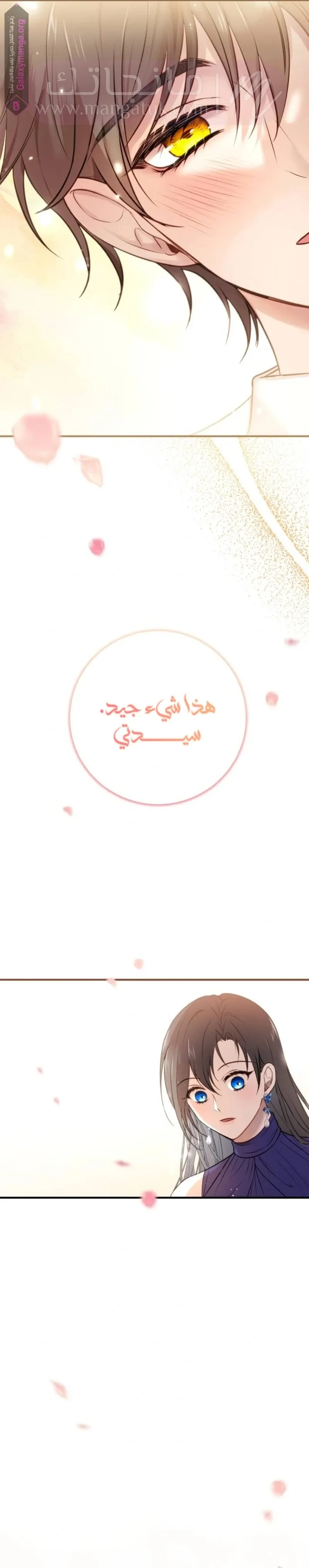 الصفحة 22