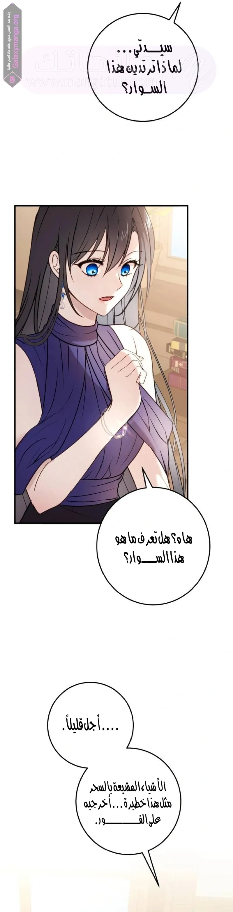 الصفحة 25