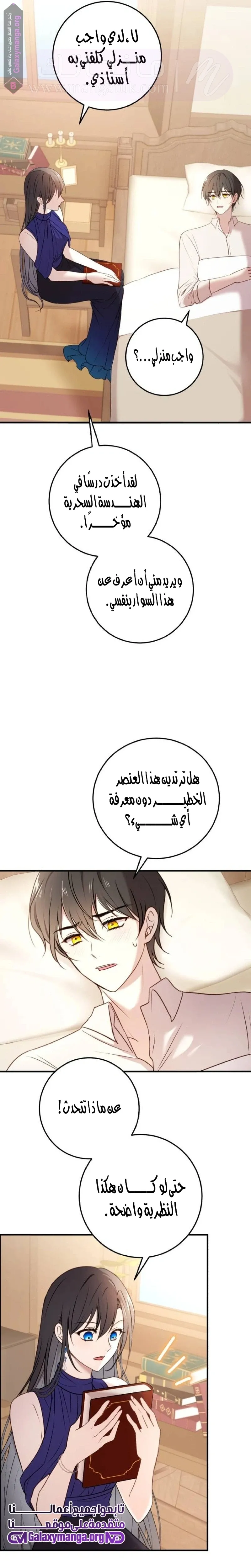 الصفحة 26