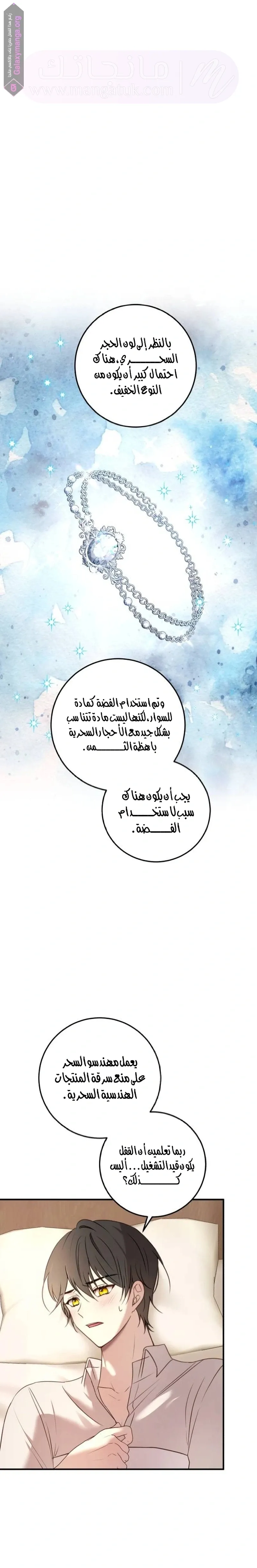 الصفحة 27
