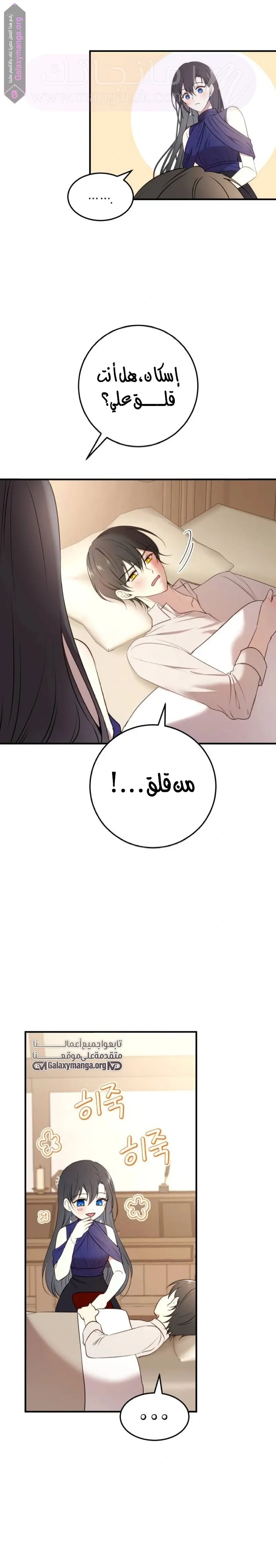 الصفحة 29