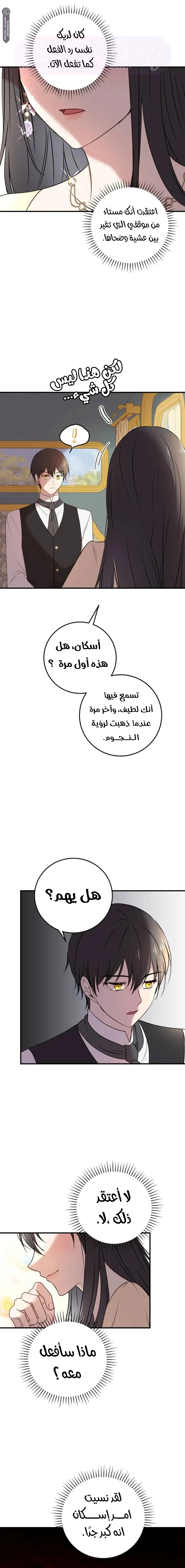 الصفحة 14
