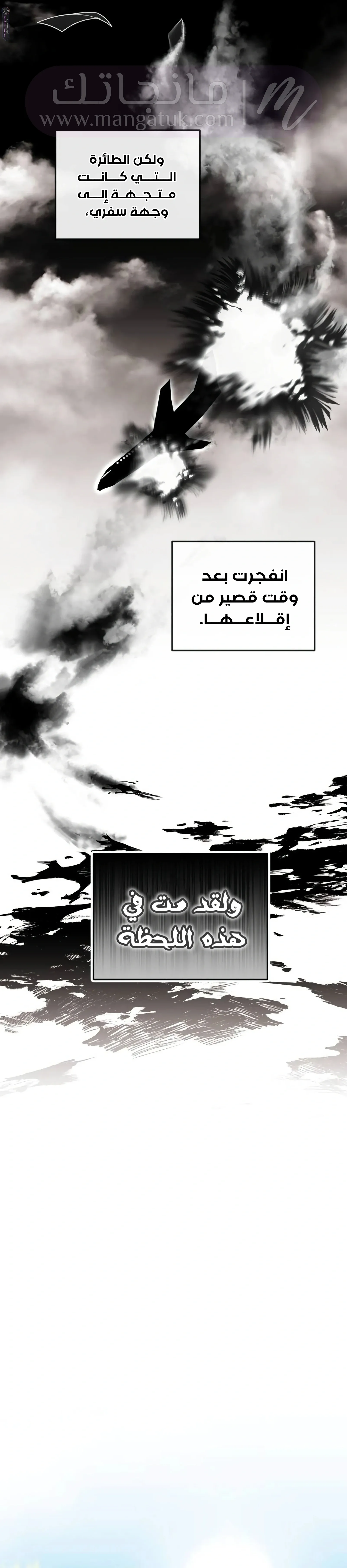 الصفحة 17