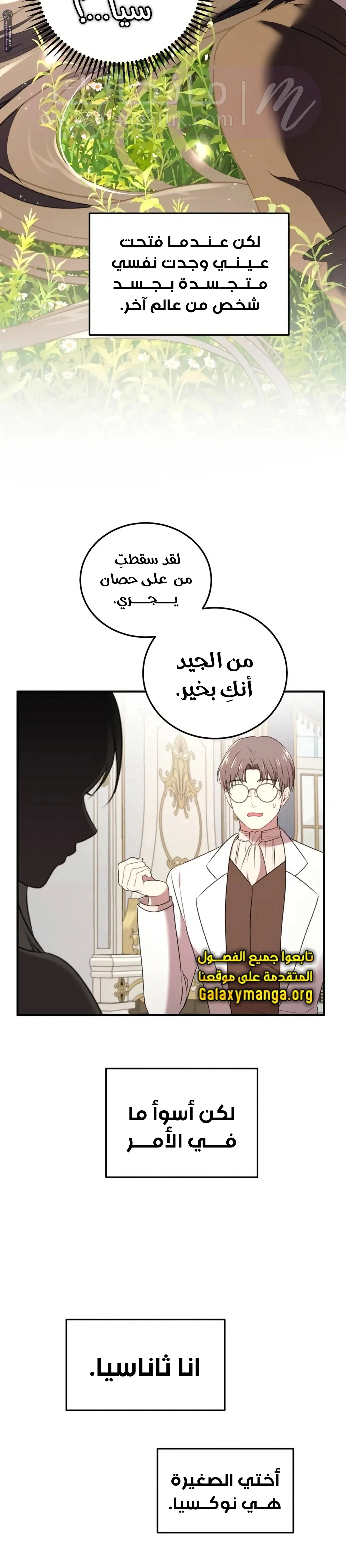 الصفحة 19