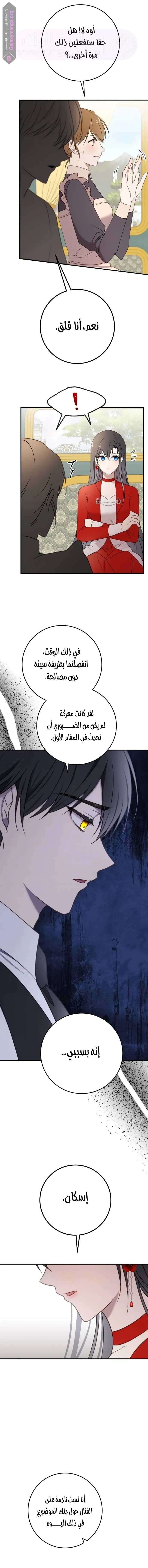 الصفحة 17