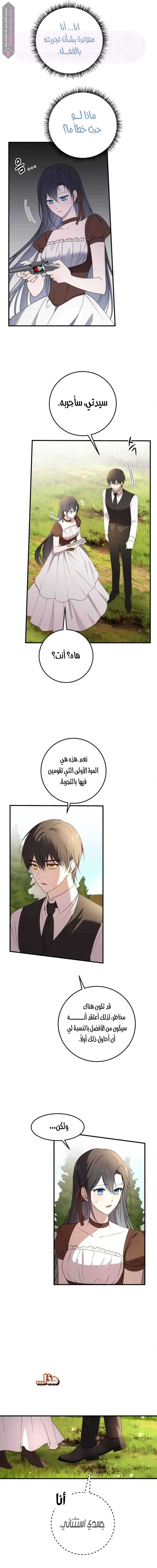 الصفحة 12