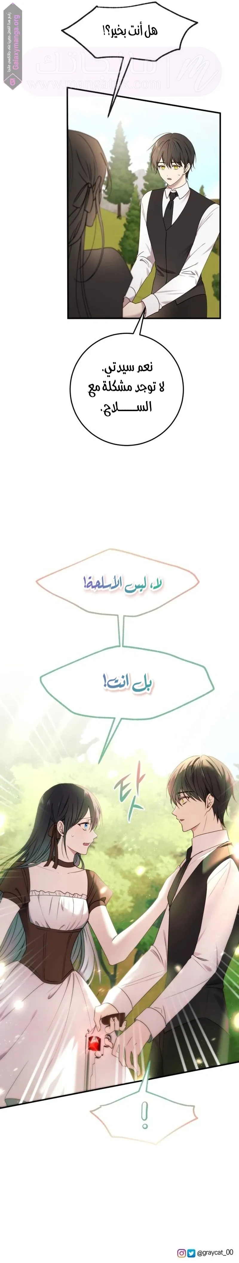 الصفحة 19