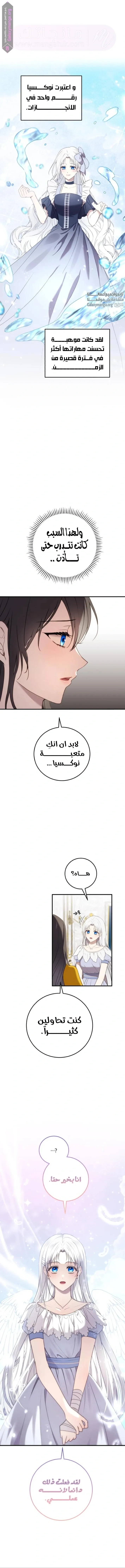الصفحة 7