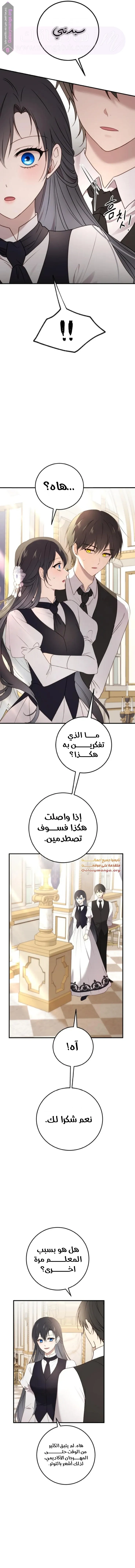 الصفحة 17