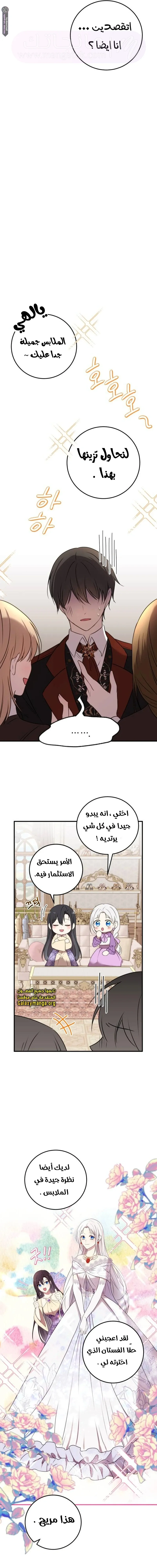 الصفحة 13