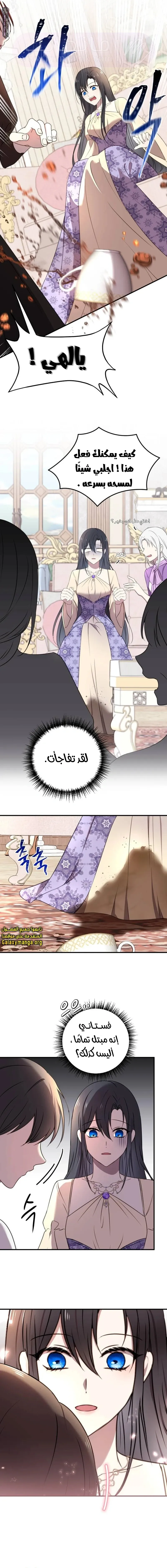 الصفحة 17