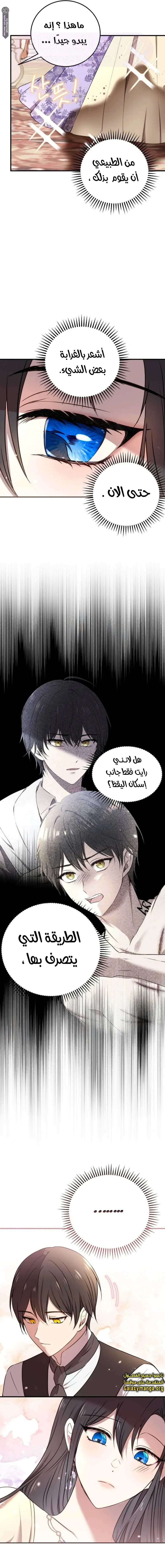 الصفحة 19