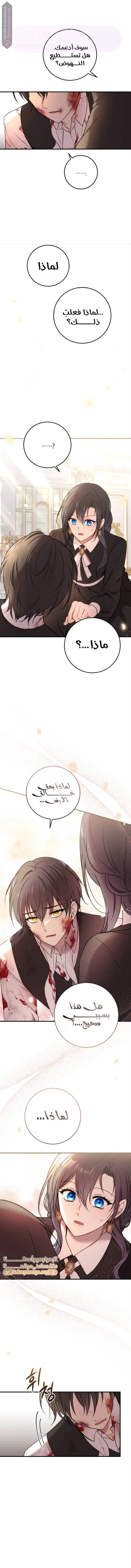 الصفحة 14