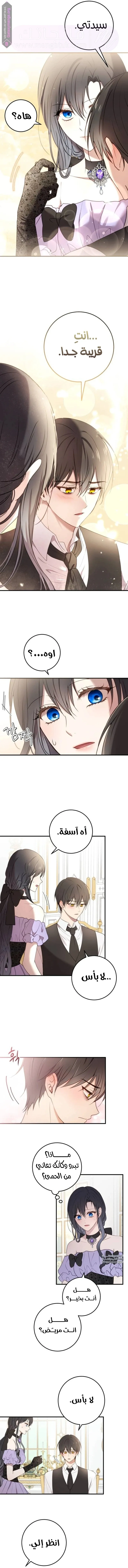 الصفحة 6