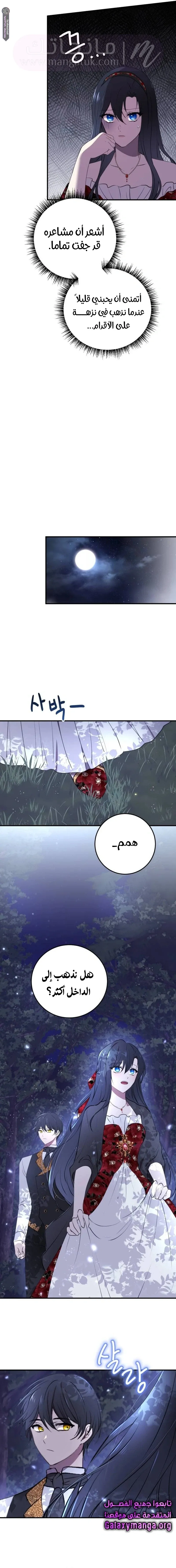 الصفحة 13