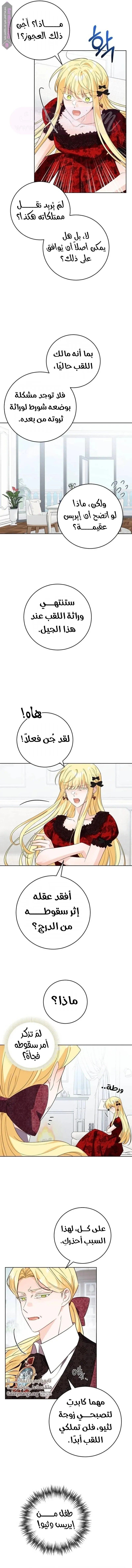 الصفحة 5
