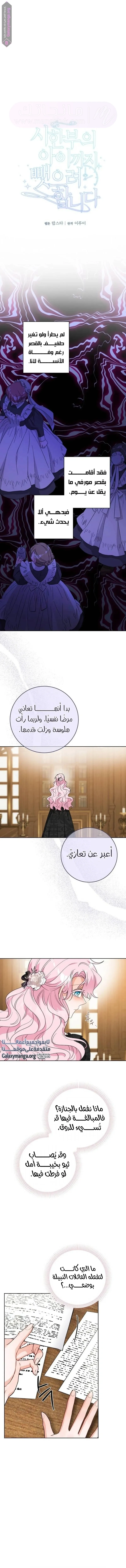 الصفحة 5