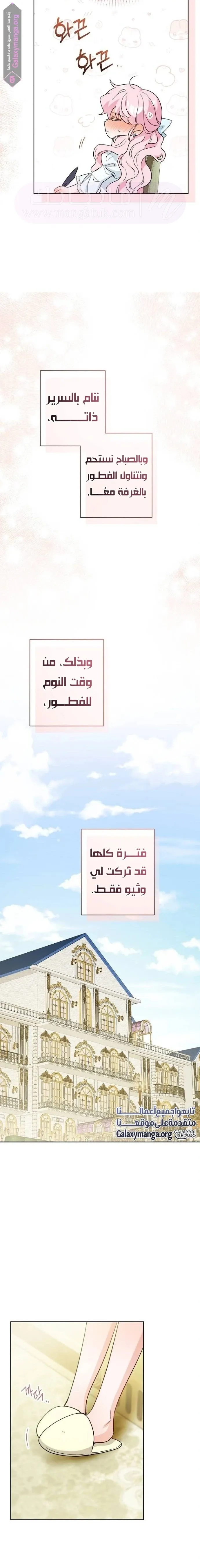 الصفحة 16