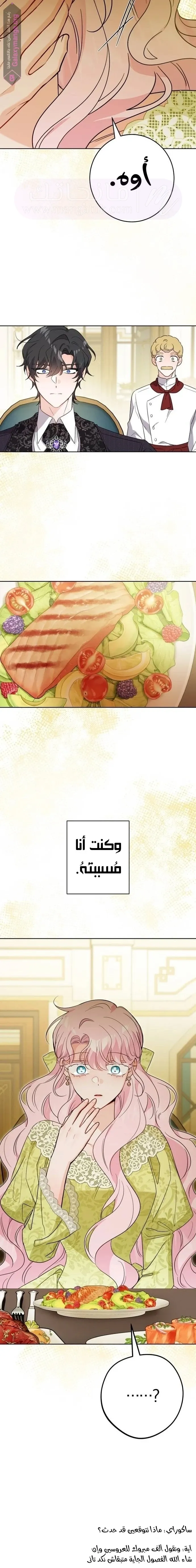 الصفحة 20