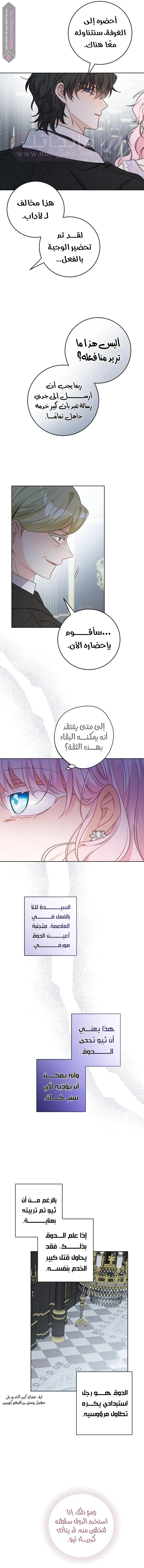 الصفحة 8