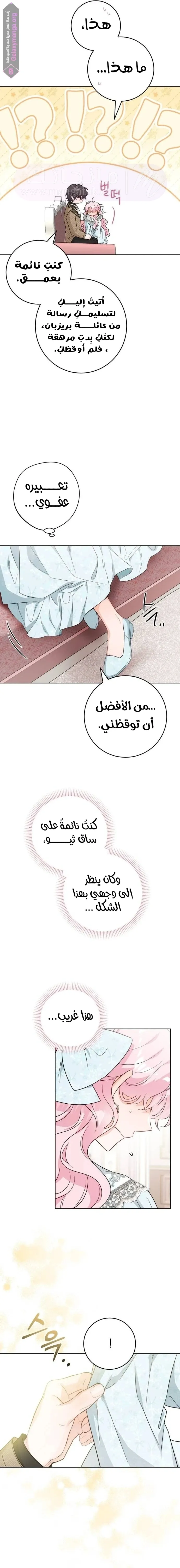 الصفحة 16