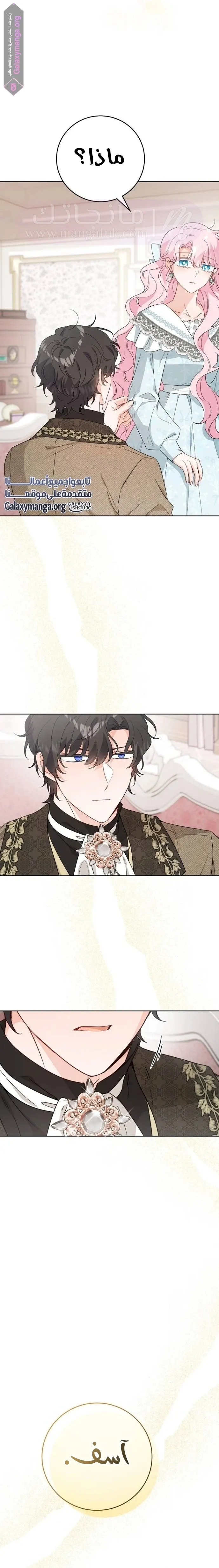 الصفحة 17