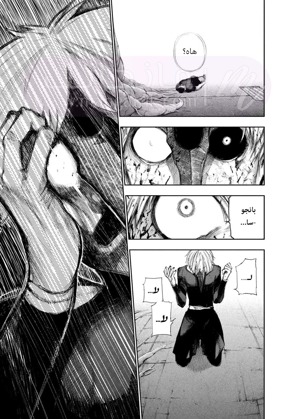 الصفحة 5