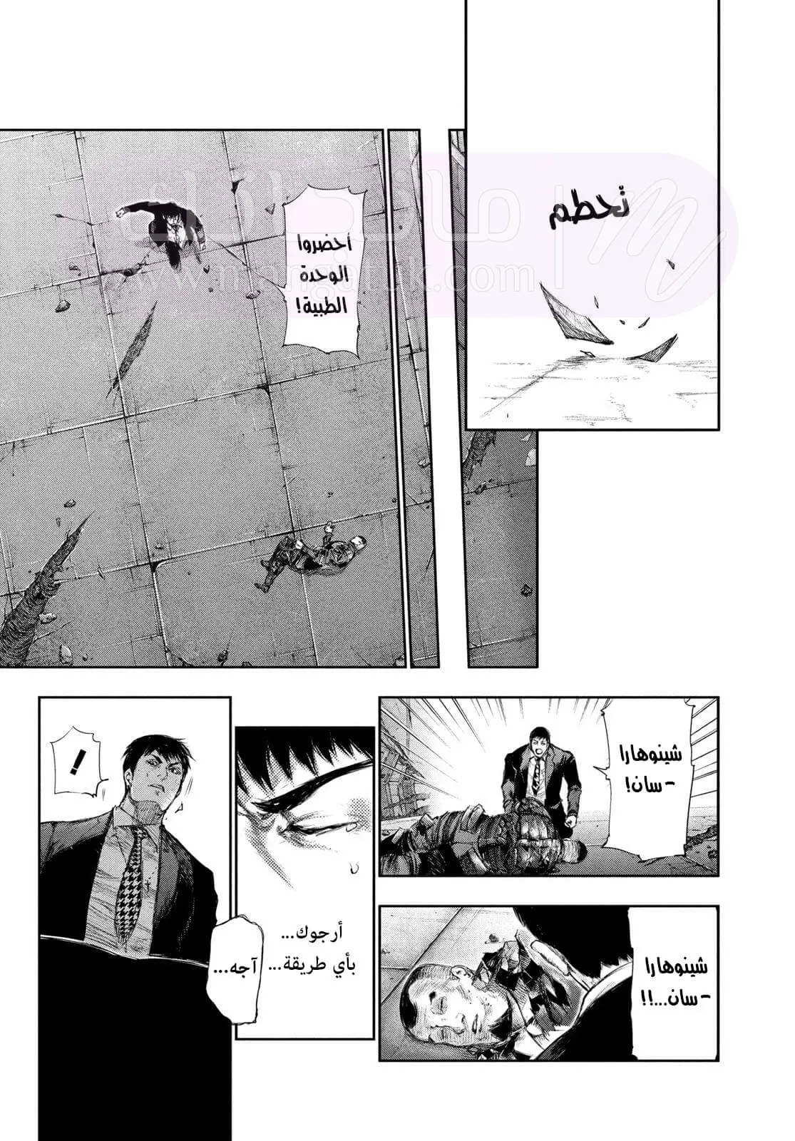 الصفحة 11