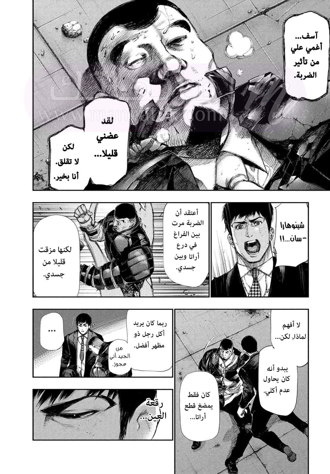الصفحة 12
