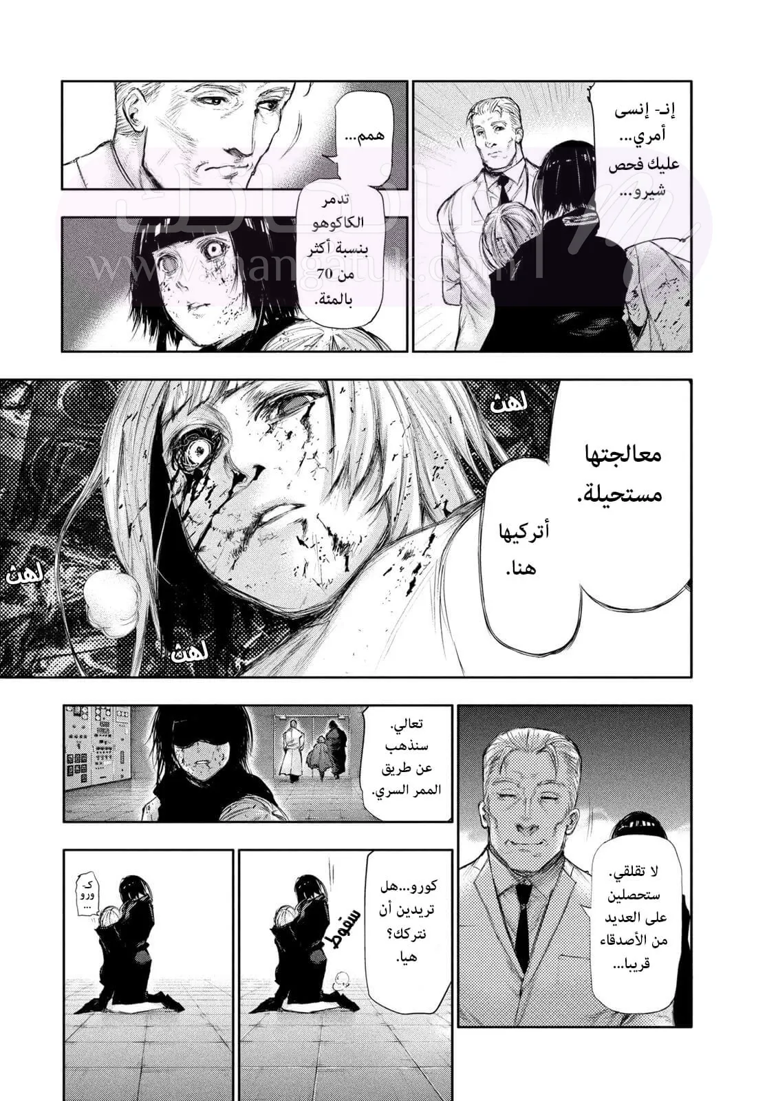 الصفحة 17