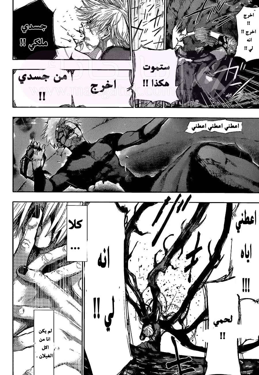 الصفحة 13
