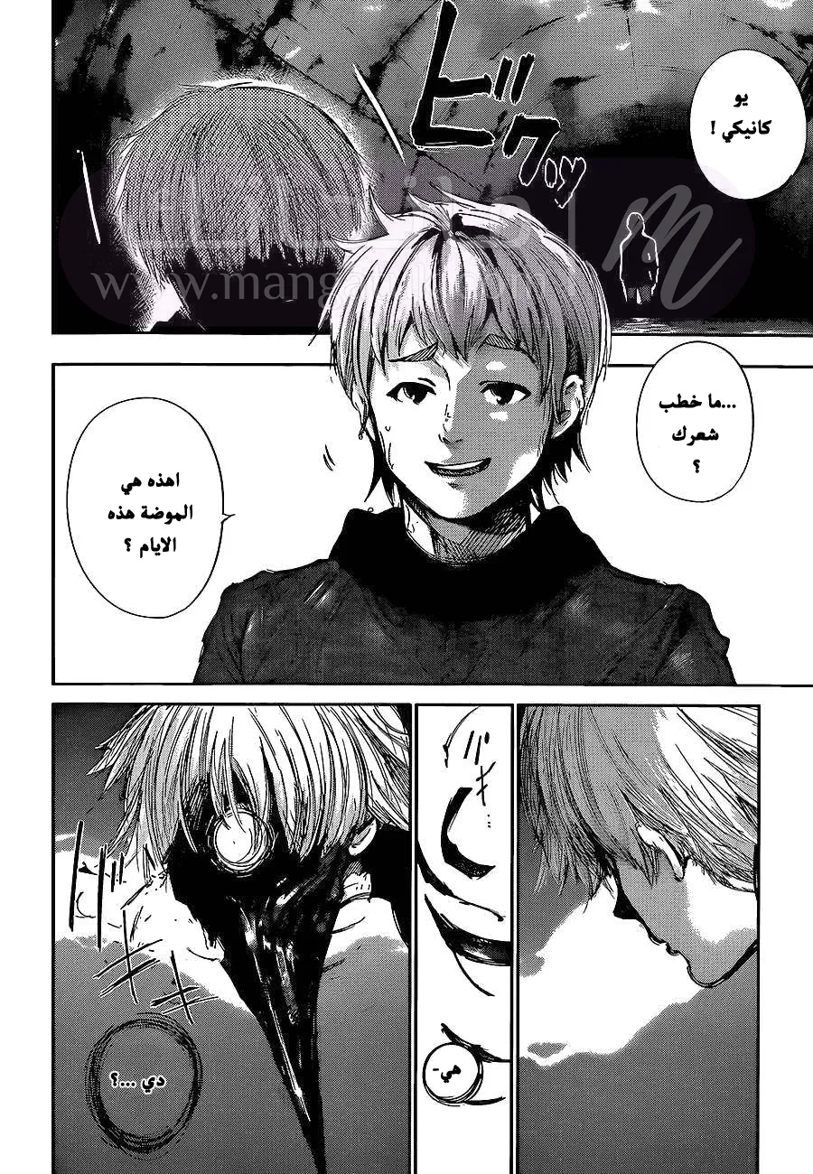 الصفحة 15