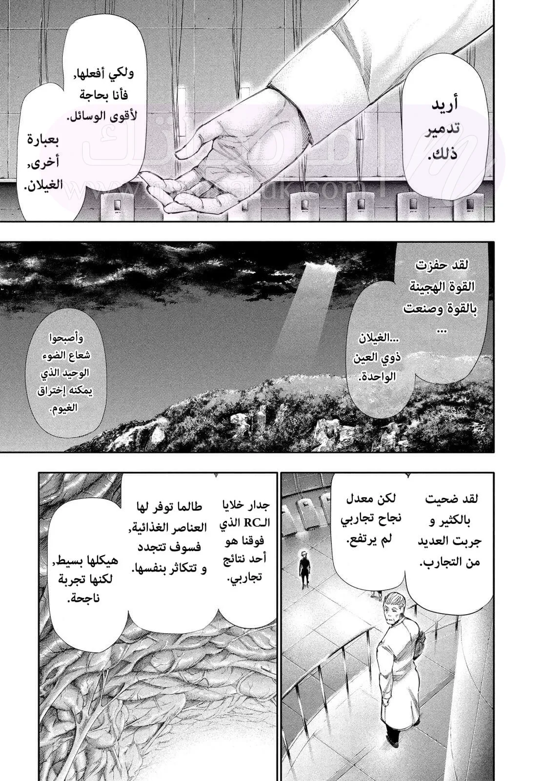 الصفحة 5