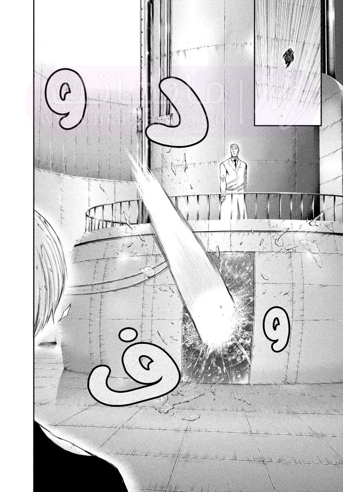 الصفحة 14