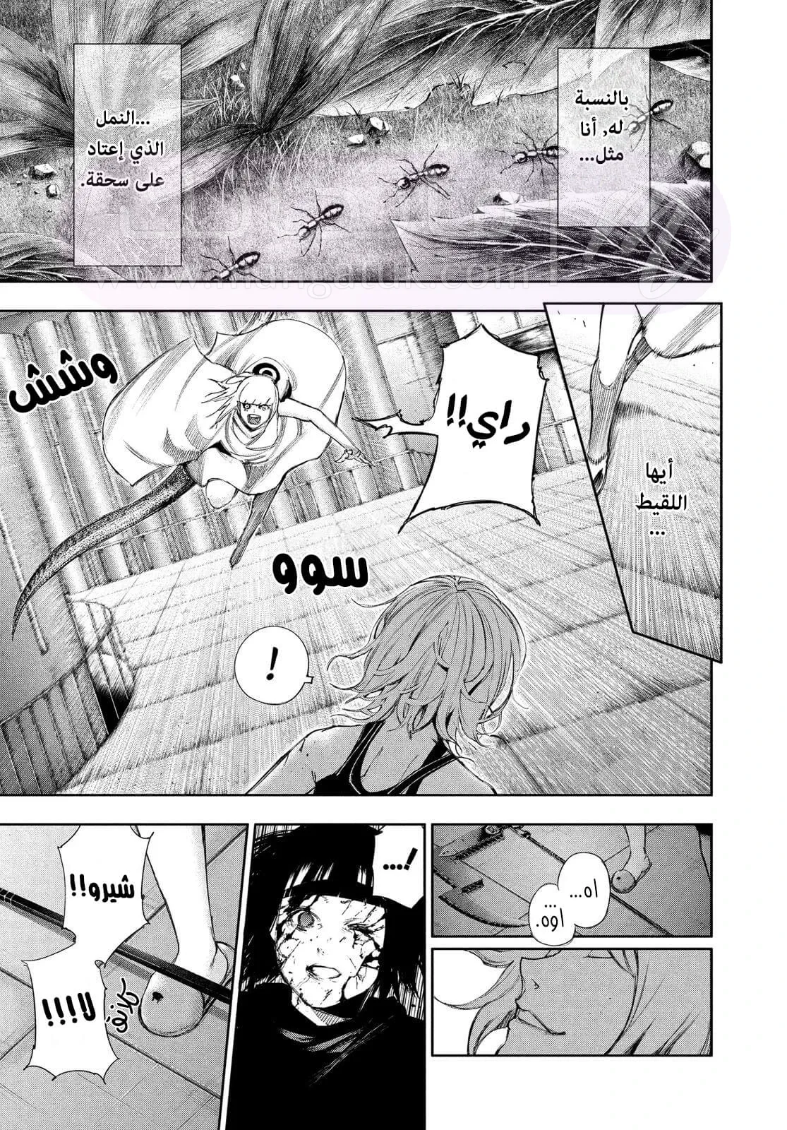 الصفحة 6