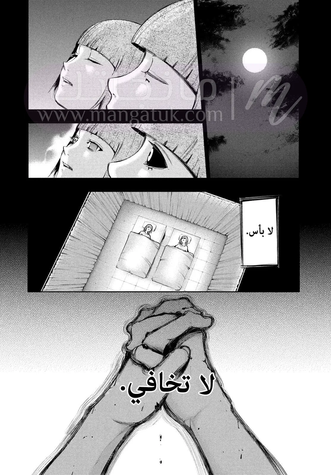الصفحة 11