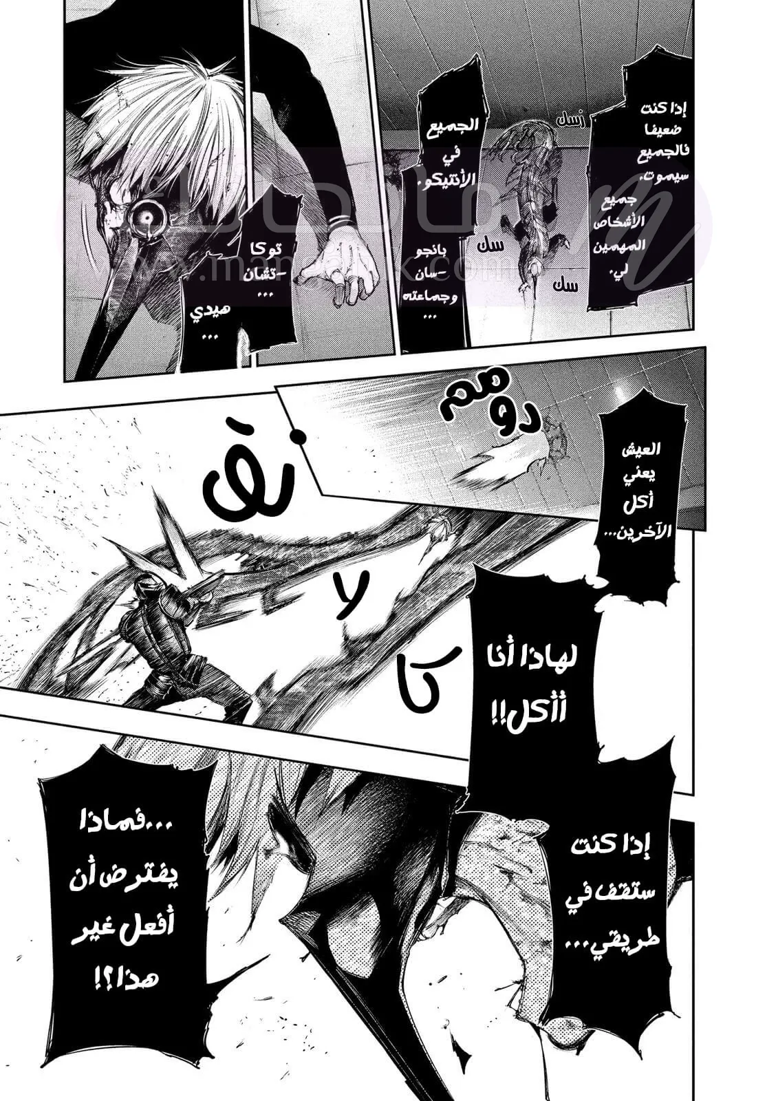 الصفحة 15