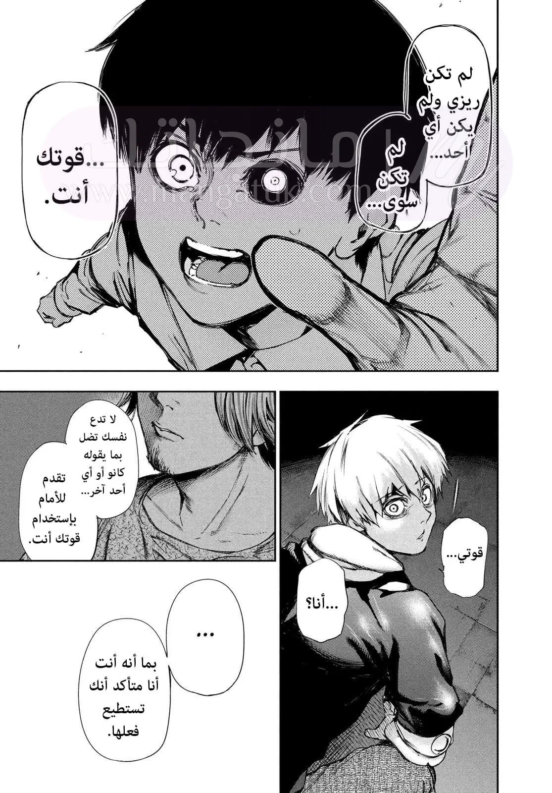الصفحة 11