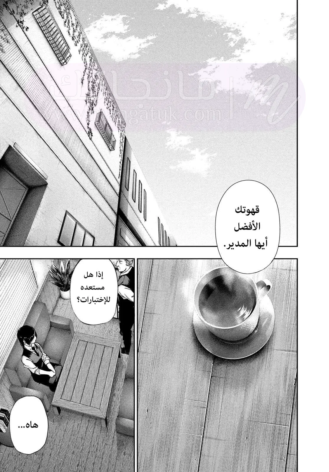 الصفحة 13