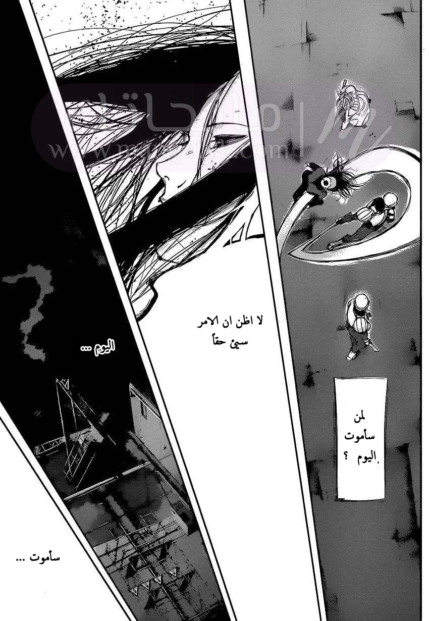 الصفحة 8