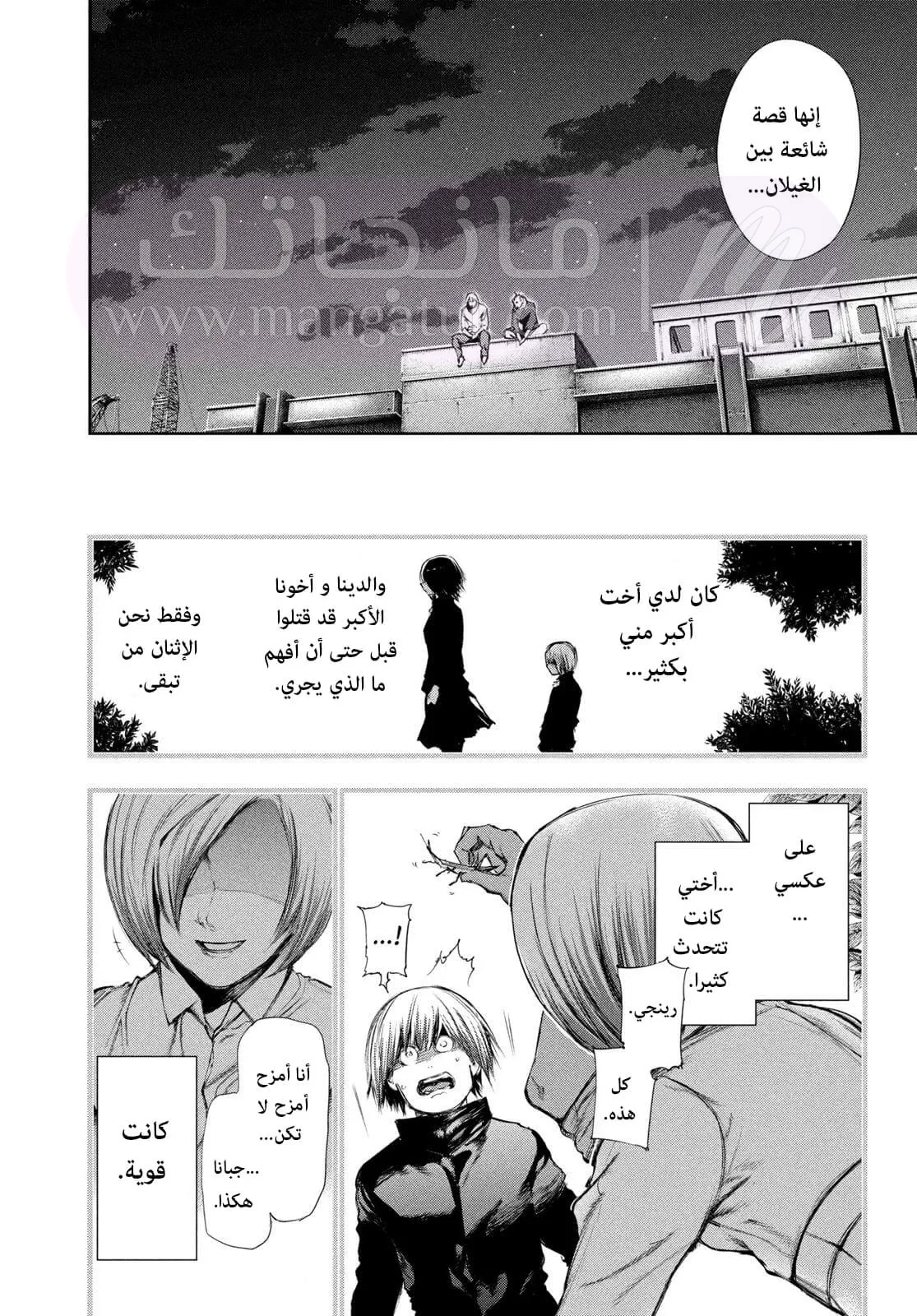 الصفحة 10