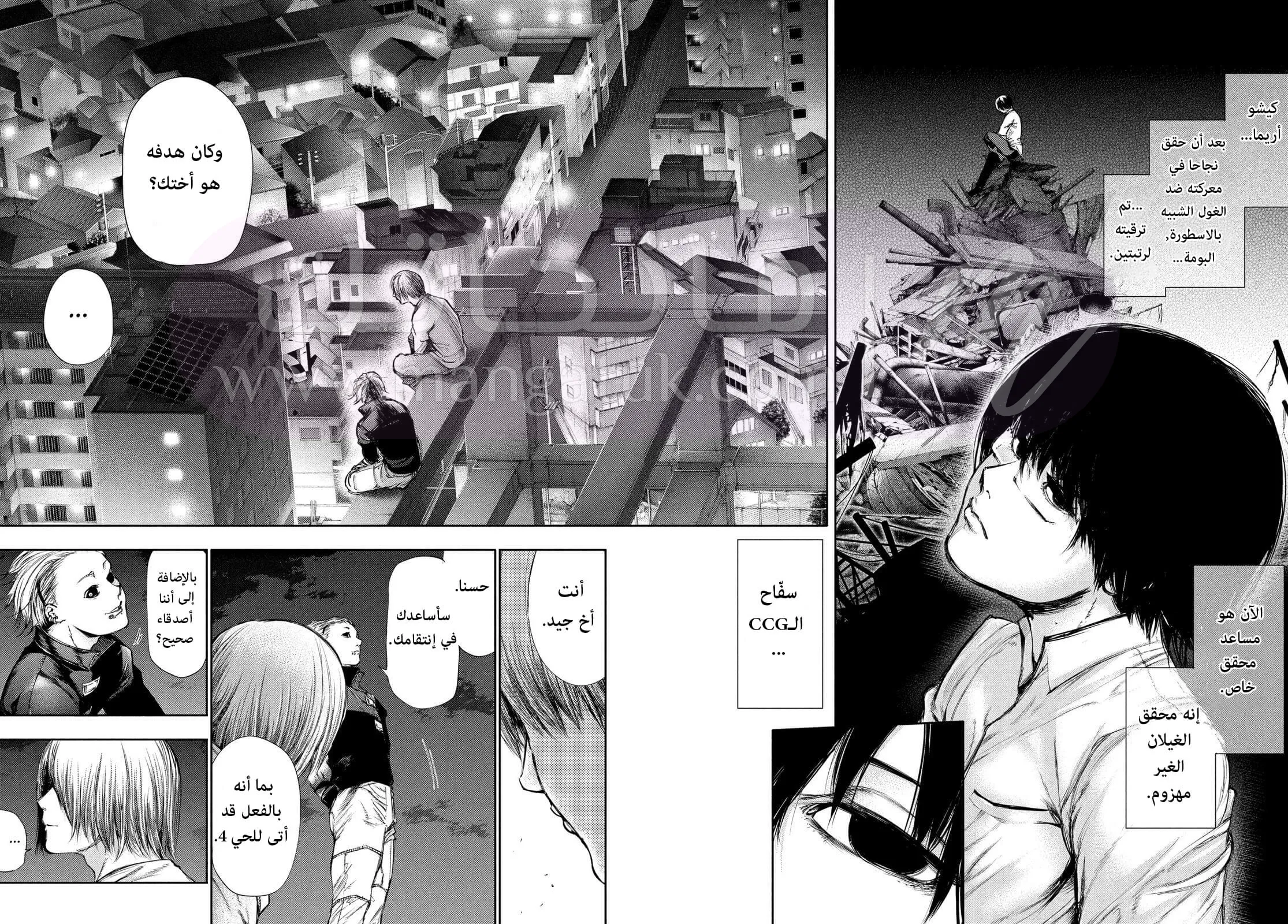 الصفحة 12